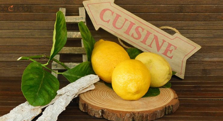 limone-ricette-saporido-proprietà-benefici