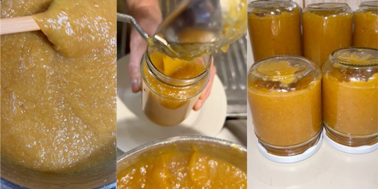 Marmella-di-Fichi-ricetta-online-fatta-in-casa-saporido-barattoli-