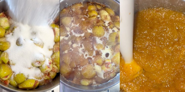 Marmella-di-Fichi-ricetta-online-fatta-in-casa-saporido-cottura-