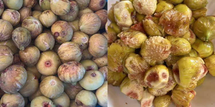 Marmella di Fichi ricetta online fatta in casa saporido procedimento