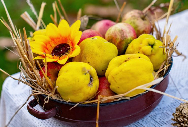 mele-cotogne-saporido-ricette-e-benessere-online