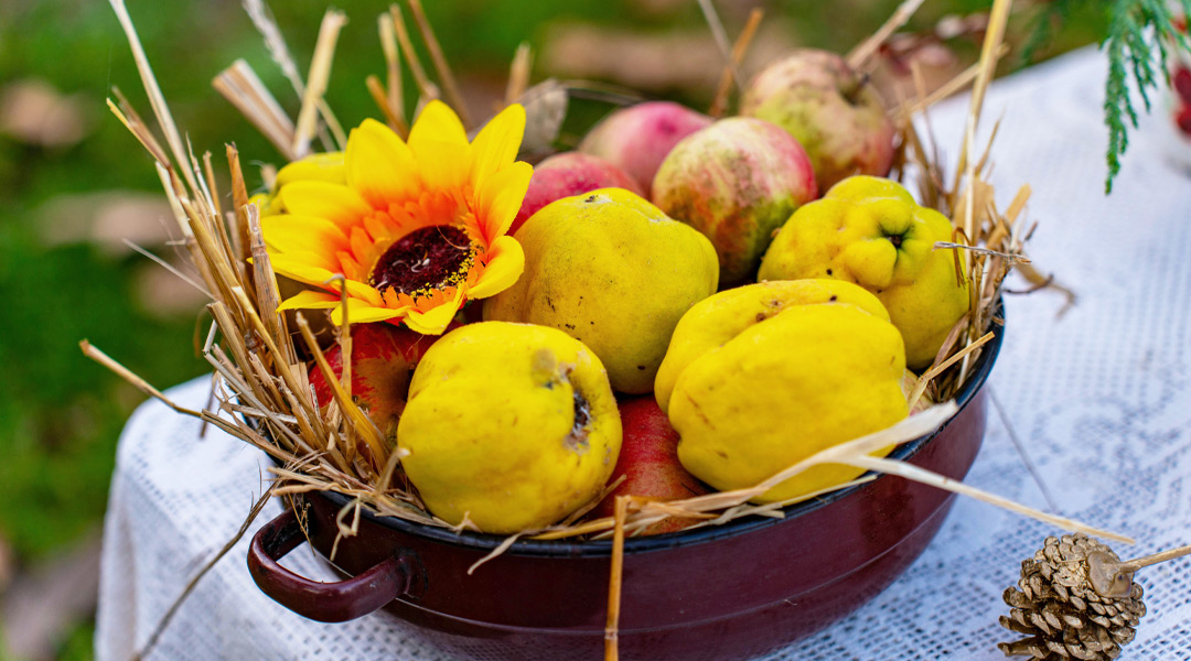 mele-cotogne-saporido-ricette-e-benessere-online