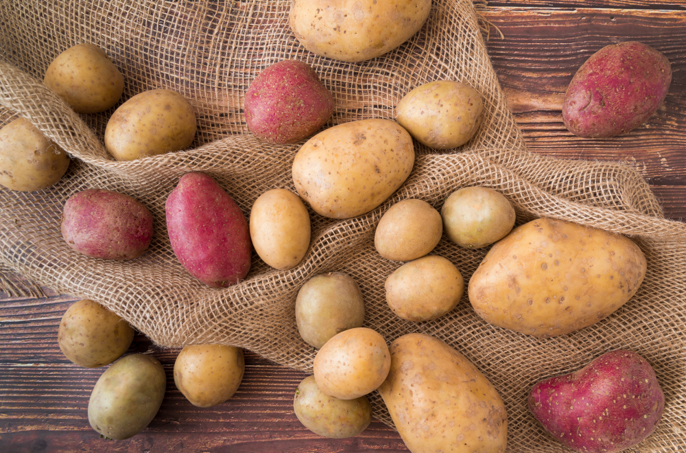 patate-benefici-e-proprietà-e-usi-in-cucina-saporido