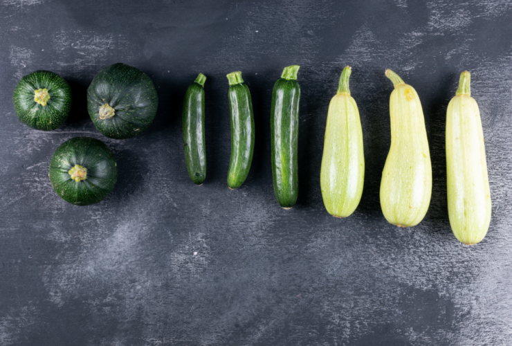 zucchine-proprietà-benifici-ricette-online-saporido