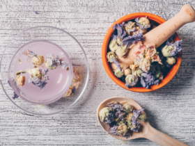 tisana-malva-pianta-officinale-benefici-proprietà-usi-saporido