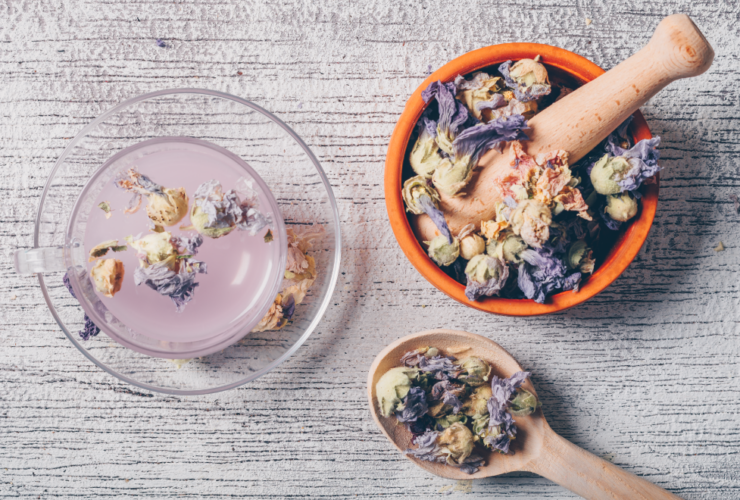 tisana-malva-pianta-officinale-benefici-proprietà-usi-saporido