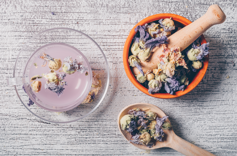 tisana-malva-pianta-officinale-benefici-proprietà-usi-saporido
