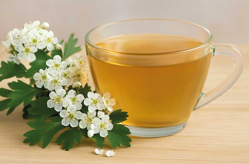 infuso fiore biancospino proprietà e benefici saporido
