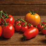 pomodoro-proprietà-benefici-e-usi-in-cucina-saporido