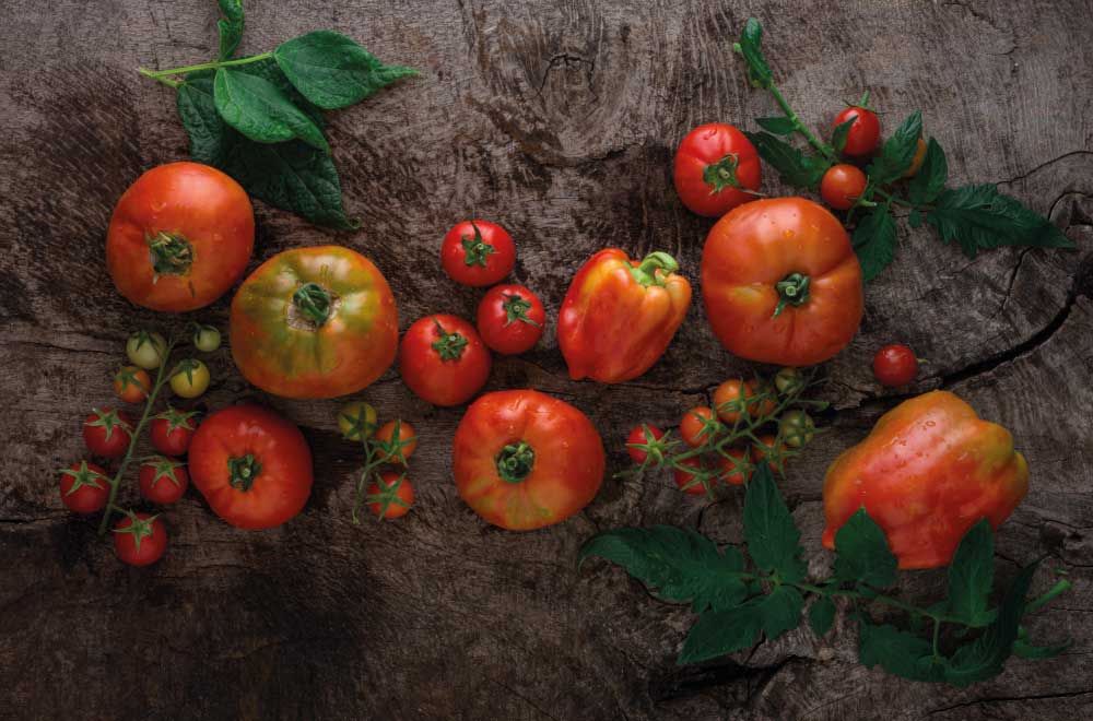 pomodori varietà proprietà e benefici