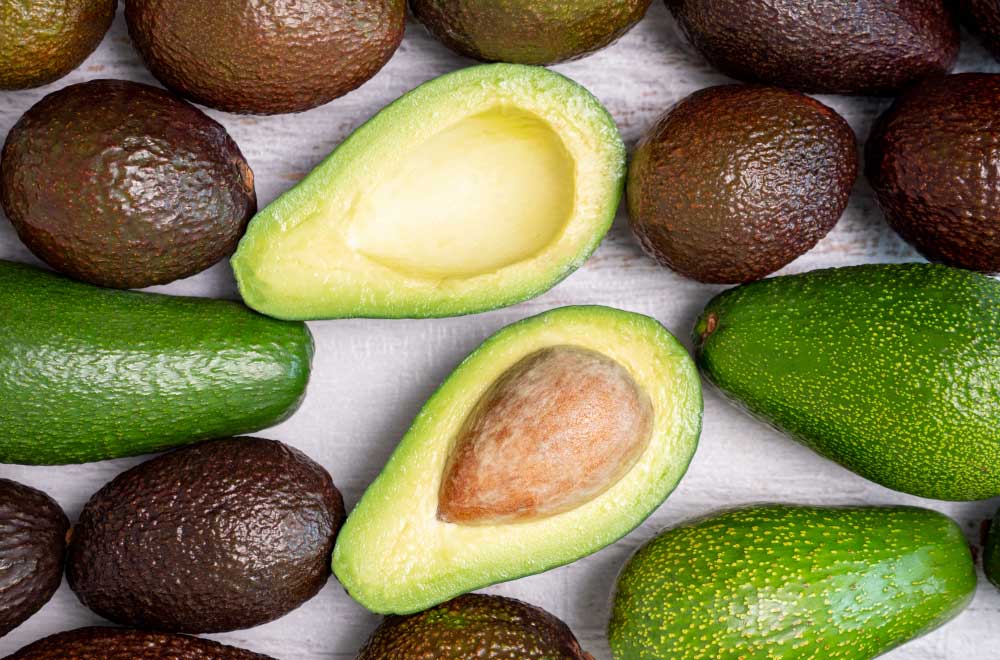 avocado il frutto superfood nutriente